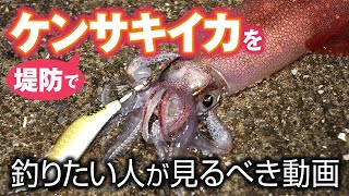 【堤防ケンサキイカゲーム】おかっぱりでケンサキイカを釣りたい人はこの動画を観てください