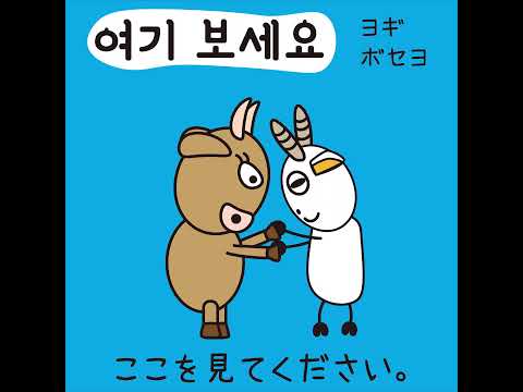 #59 「ここを見てください。」ヨギ ボセヨ (여기 보세요.)－1日ひとこと韓国語