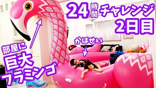 部屋いっぱい😲 24時間 うきわ チャレンジ 🤪 巨大フラミンゴ🤩 24時間すごせたら100ドル🤑 2日目突入🙄