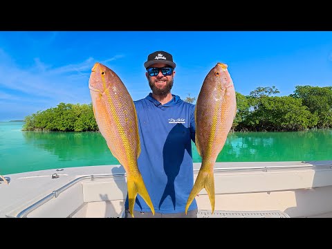 BIG Yellow Tail Snapper | Adapting | Island Catch & Cook