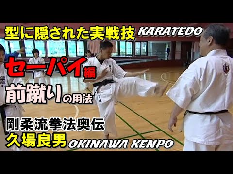 セーパイ seipai okinawa kenpo karatedo kata yoshio kuba 空手道 沖縄拳法 型に隠された実戦技 久場良男 前蹴り 捌き