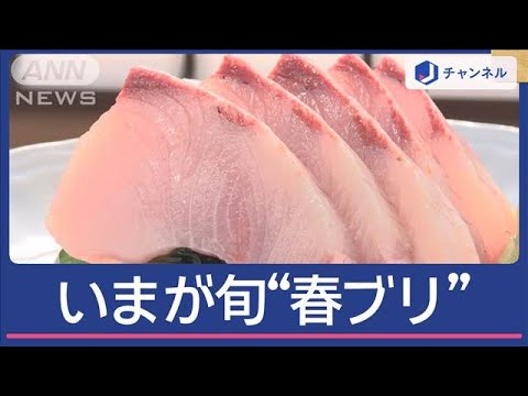 門出の季節、脂が乗った”春ブリ”が人気！【スーパーJチャンネル】(2025年3月13日)