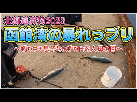 【北海道青物2023】函館：釣りド素人母、釣りキチ息子’sと函ブリを狙う！