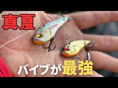 【バス釣り】暑すぎて釣れない時、【ただ巻き】で釣れる、、夏のバイブパターンの釣れる使い方、アクションを解説しながら実釣します。【釣れない時の最終兵器】【入れ食い注意】【熱中症注意】