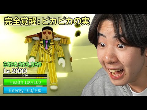 ピカピカの実を覚醒させてみたら...【ブロックスフルーツ / BloxFruits】