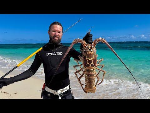 Shore Diving Bahamas | Spearing Giant Lobster