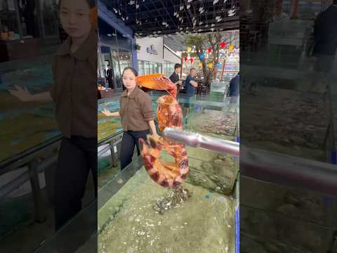 Buying MASSIVE Mantis Shrimp