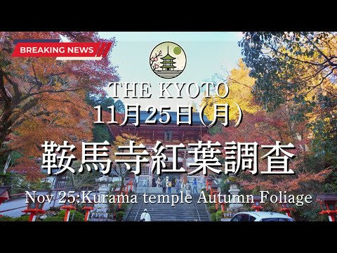 [News] The autumn foliage situation at Kurama-dera on November 25 (Monday)