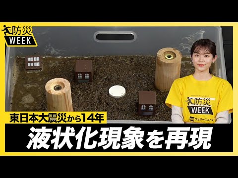 【防災】液状化現象とは？模型を使って再現／東日本大震災から14年 防災WEEK 青原桃香