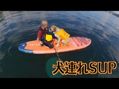 山中湖で夏を満喫！