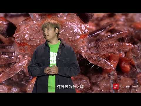 【一席】張小蜂：那雙惡煞般的紅眼睛，成功讓我陷入螃蟹的世界。