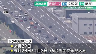 年末年始の高速道路渋滞ピークは下り12月29日、上り1月3日　NEXCO中日本予測 (24/11/27 19:00)