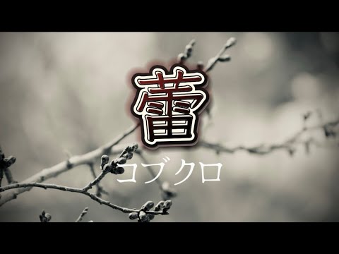 コブクロ『蕾』【歌詞動画】