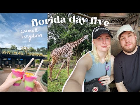 DAY 5 | walt disney world vlogs! a rainy animal kingdom day 🌦️ & a trip to walmart!