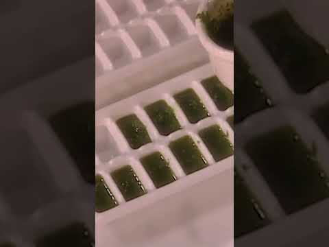 Freeze Your Fresh Pesto In Ice Trays!