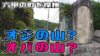 ぶらり #99 【神戸市灘区】六甲道駅～伯母野山町～長峰