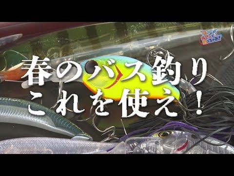 ルアーで釣っちゃお「早春のバス釣り」【水野浩聡プロ】2024年4月放送分