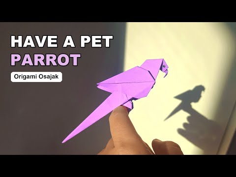 How to Make Parrot Origami - Tutorial