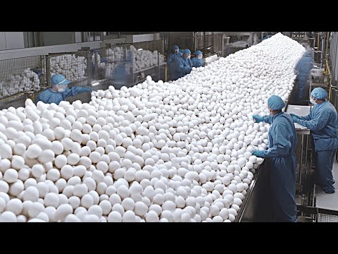 Extremely Satisfying Factory Processes | Production Line Compilation