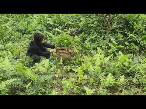 One day, I found vegetables, came back with Ms. Nga, and brought them to sell