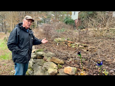 Garden Update for December 15, 2024