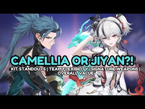 Camellia Or Jiyan?! Which INSANE DPS Should You Prioritise?! | Wuthering Waves