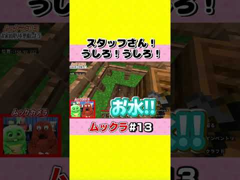 スタッフさん！あぶない！【ムックラ】 #shorts #ムックラ #マイクラ #ゲーム実況 #ムックゲームズ