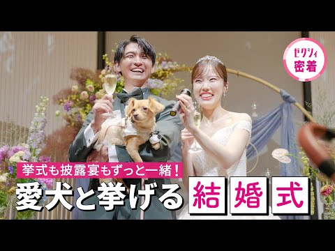 【結婚式密着】リングドッグも、披露宴も！愛犬と結婚式を最高に楽しむための全てお見せします♡