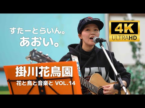 すたーとらいん。（あおい。）／ 掛川花鳥園「花と鳥と音楽と VOL.14」2024年12月22日