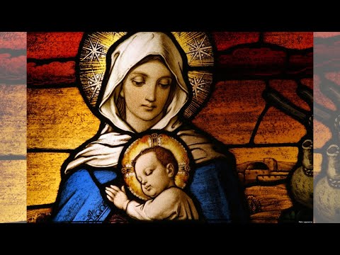 [1H Repeat] Schubert "Ave Maria" - Cello - Solemnity of Mary, Mother of God 2023 (12 Times)