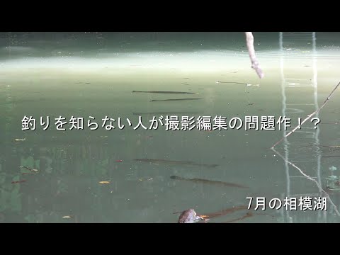 釣りを知らないマネージャー目線のバス釣り動画　（相模湖）