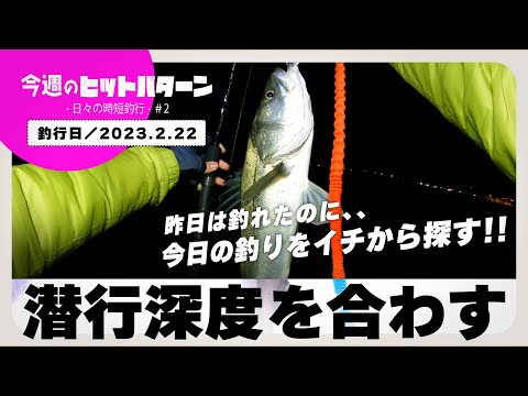 【三重北部のシーバス】潮位とルアー潜行深度を合わせる／嚙み合えば一匹【2023.2.22 今週のヒットパターン ‐日々の時短釣行‐／＃2】