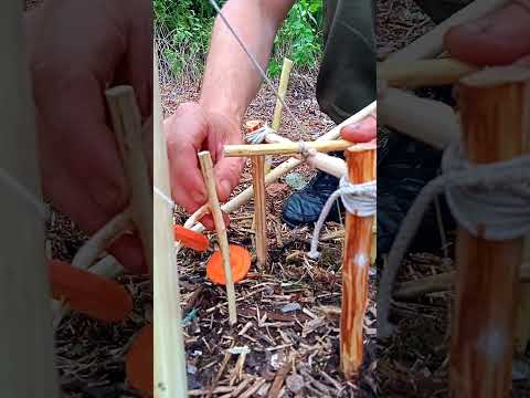 A TEN-MINUTE TRAP FOR SURVIVAL  #woodworking #trap #wood #survival #bushcraft