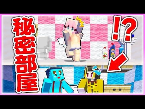 🌈女の子の家に隠し部屋を作るマインクラフト 💓💣 【まいくら / マインクラフト】