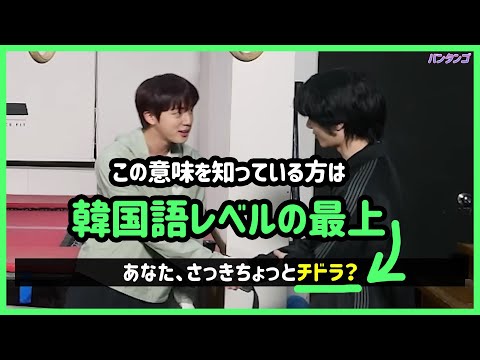 [BTS 日本語字幕] ジンとボムギュから学ぶ韓国語の隠語表現