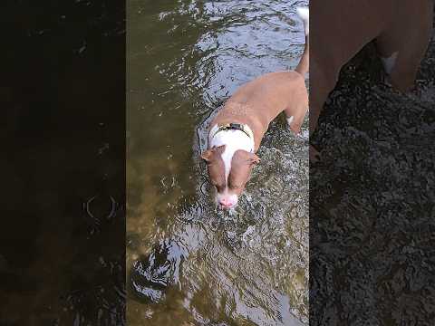 saving up the rocks