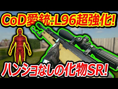 【CoD:BO6】CoD愛銃のL96が威力UPの超強化!!『ハンショほぼ無しの化物SRになってる件w』【LW3A1 Frostline : 実況者ジャンヌ】