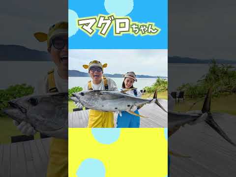 ギョギョッとサカナ★スター！NHK Eテレ 1月5日(金)午後7時25分～【マグロちゃん】 #shorts  #さかなクン