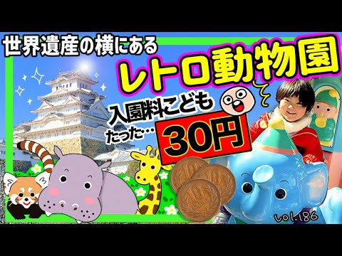 Riding on retro playground equipment at Himeji City Zoo ⭐️ Eating delicious shaved ice 🍧 [vol.186]