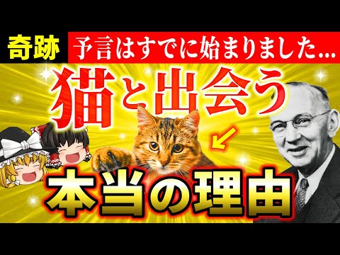 【🐱巨億を招く】エドガー・ケイシーが予言した「猫と出会う理由」と「猫を飼っている人に起こること」【ゆっくり解説】【スピリチュアル】