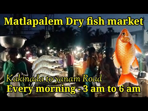 Matlapalem fish market, dry fish market vlog kakinada