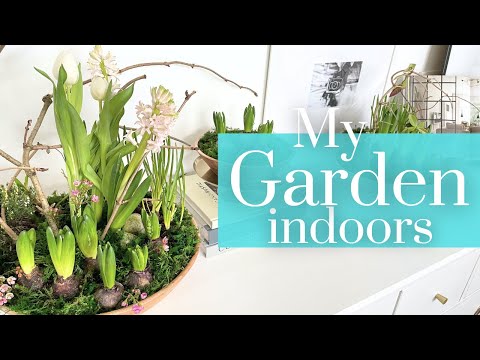 How to TRANSFORM Your CONSOLE TABLE for Spring with a Stunning DIY Indoor Garden in a Bowl!