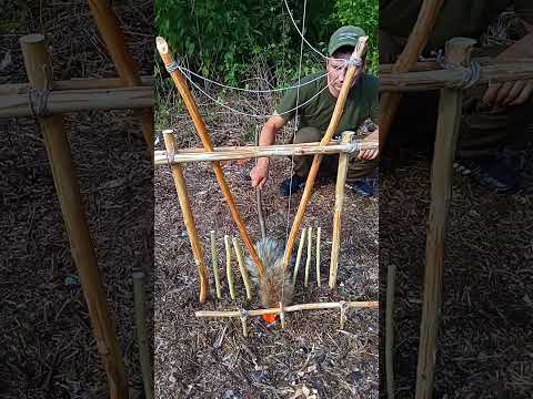 ANIMAL TRAP FOR SURVIVAL IN THE FOREST  #woodworking #trap #survival