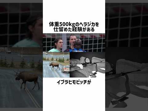 この動画は絶対に見てほしい