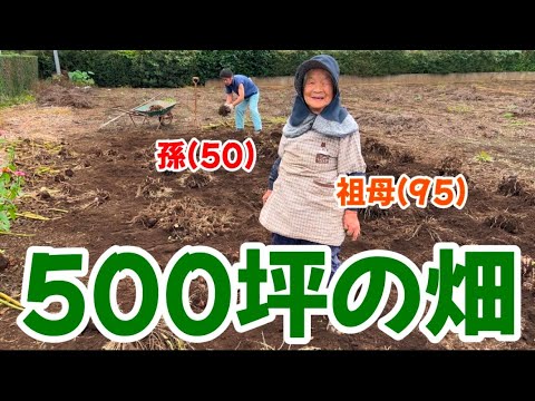 【本気？】ばあちゃんが畑作業をする横で、孫の敦志(50)は〇〇〇を探していました🤣