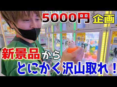 【クレーンゲーム】とにかく沢山取れーーい！ぐるぐる大帝国牛久店