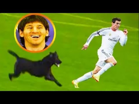 Funny Soccer Football Vines 2017 ● Goals l Skills l Fails #28