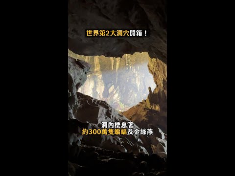 馬來西亞「世界第2大洞穴」開箱！震撼史詩場景 #馬來西亞 #姆魯國家公園