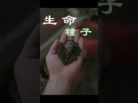 希望花園：每日三句灑下生命的種子！