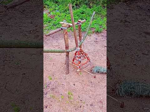 A TRAP FOR SURVIVAL  #trap #farming #survival #woodworking #bushcraft